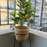 Bottero-joli Avec Terrasse 5 Mins De La