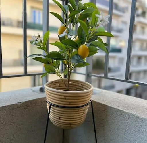 Bottero-joli Avec Terrasse 5 Mins De La